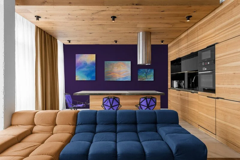 Modern_apartment_living_space_and_kitchen.jpg
