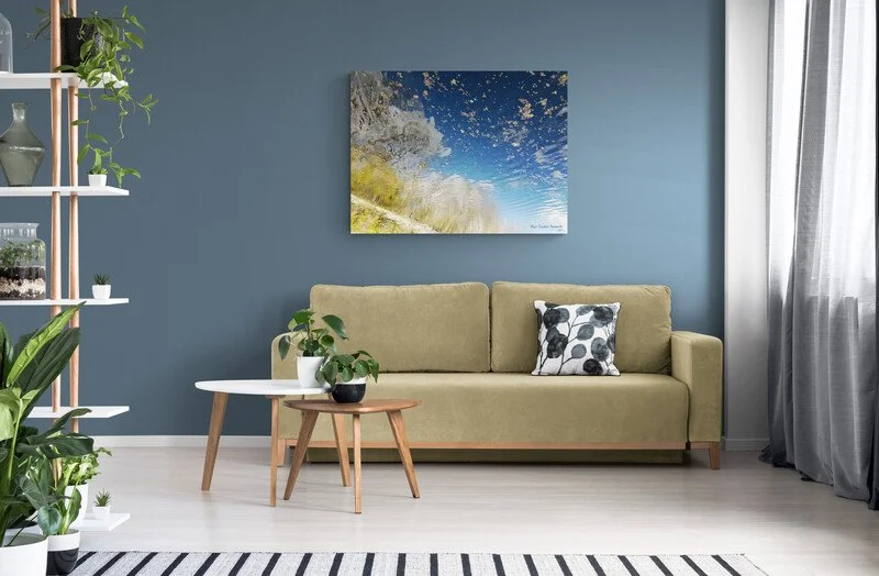 Warm_bright_living_room_with_tropical_plants.jpg