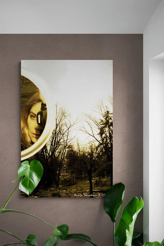 Sunlit_room_with_tropical_plant.jpg