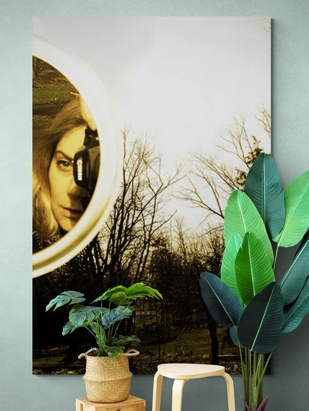 Bright_room_with_tropical_plants.jpg
