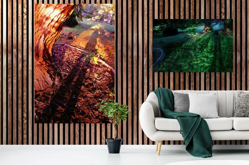 Sofa_and_plant.jpg