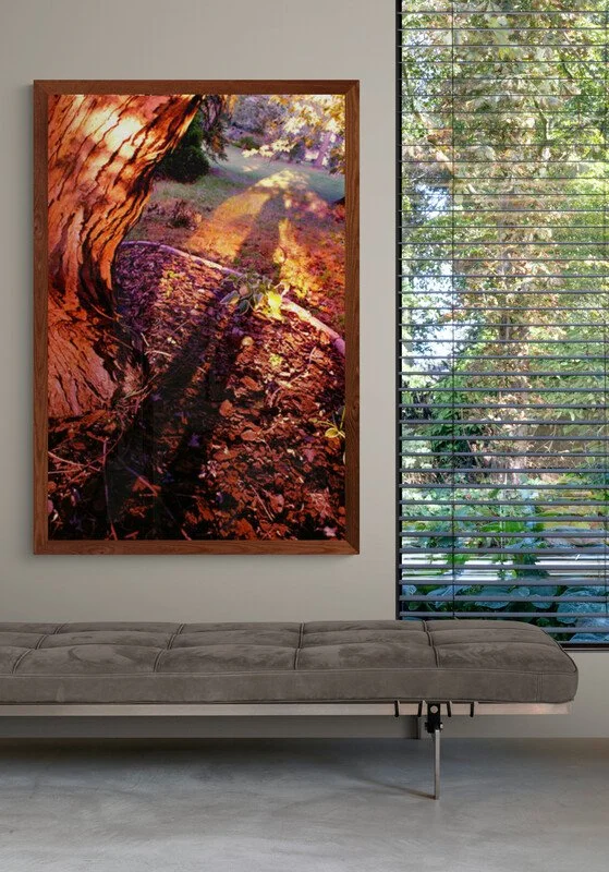 Suede_seat_with_garden_views.jpg