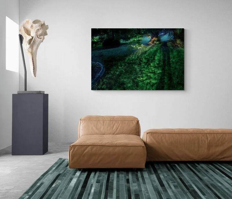 Modern_spacious_living_room.jpg
