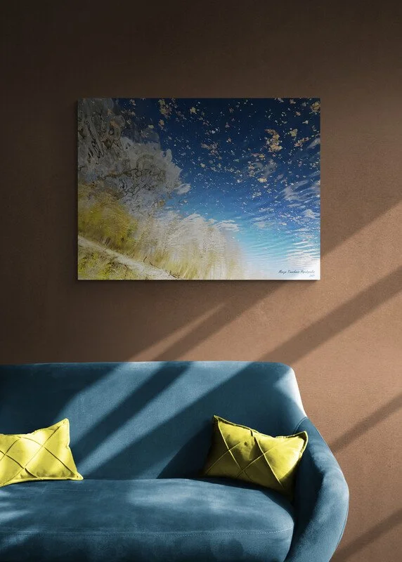 Comfy_sofa_illuminated_in_natural_light.jpg