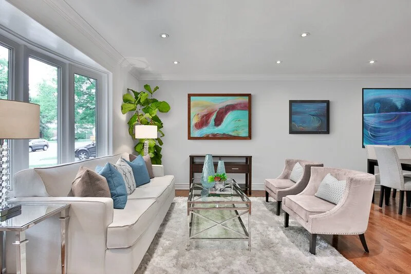 Traditional_style_lounge_with_large_corner_plant(1).jpg