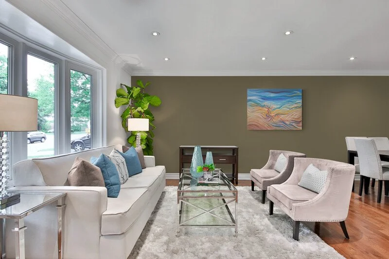 Traditional_style_lounge_with_large_corner_plant.jpg