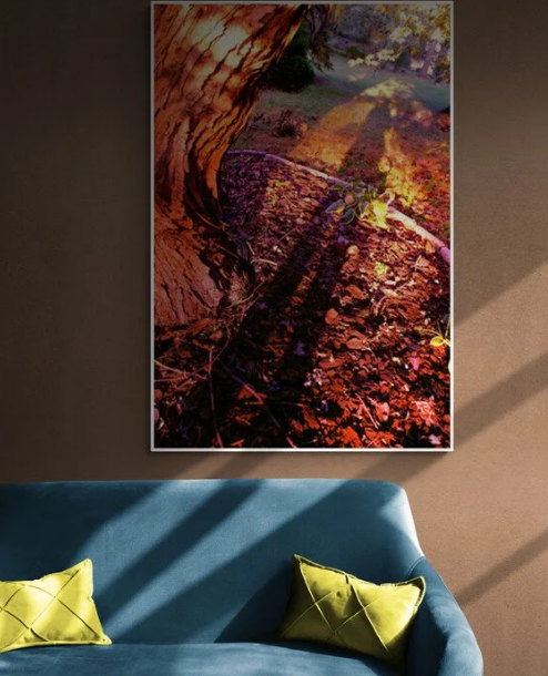 A photograph on a wall in red