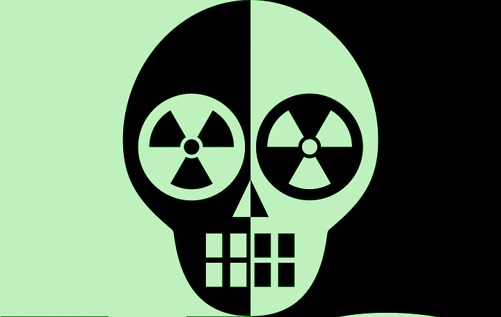 The Future of Nuclear Energy in the UK