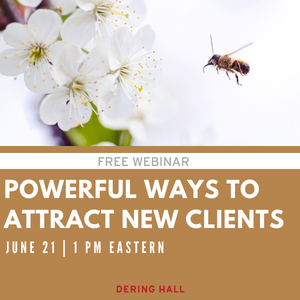 WEBINAR: Powerful Ways to Attract New Clients to Your Design-Based Business