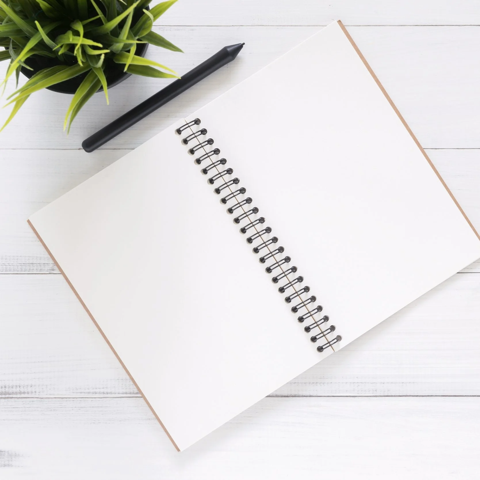 Tips for Mastering Your Rebrand