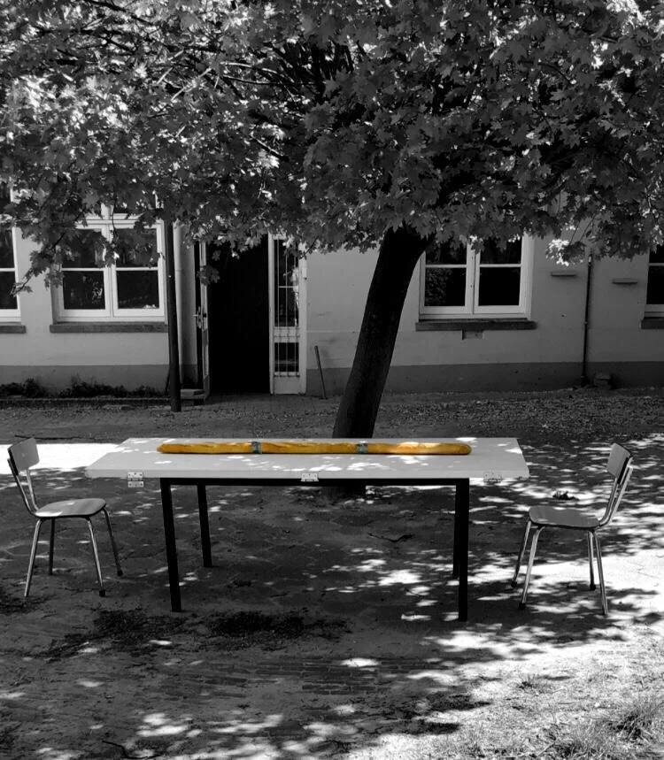 WhatsApp Image 2021-04-30 at 16.07.54.jpeg