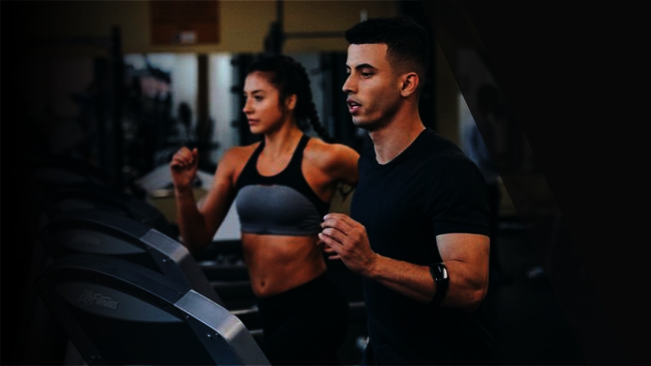 Mr Fitness Equipment Repair