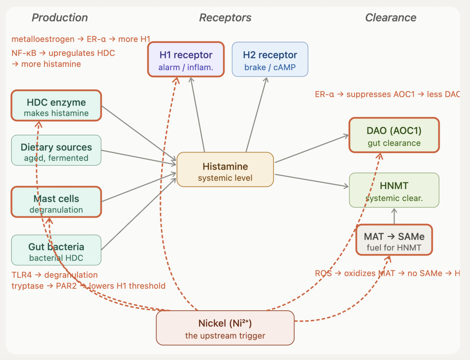 Is Nickel the ACTUAL cause of Histamine Intolerance?!