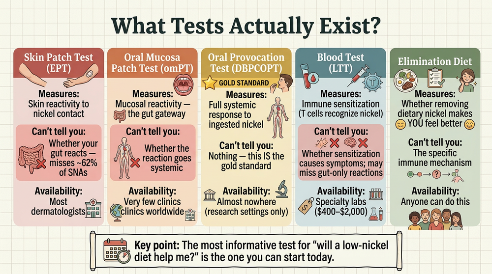 Do I Have a Nickel Allergy? Tests, Myths & What Works | TLND — The Low ...