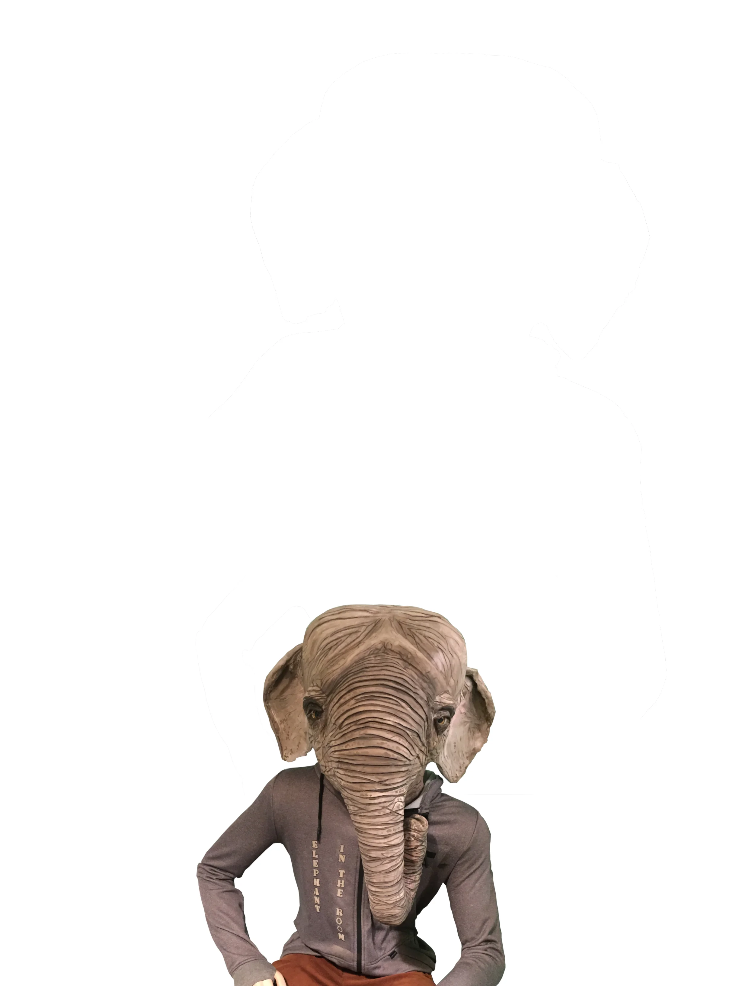 elephantintheroom.JPG