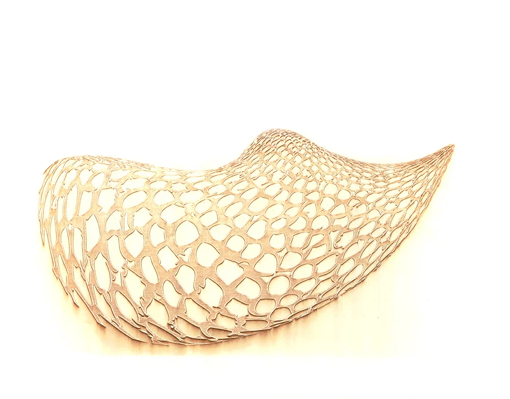Nest (1)