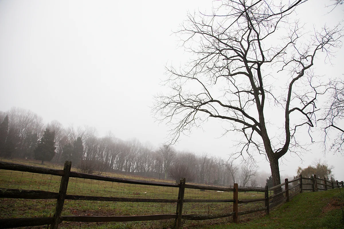 Choosing a Life’s Path: Shannon Varley Part 2