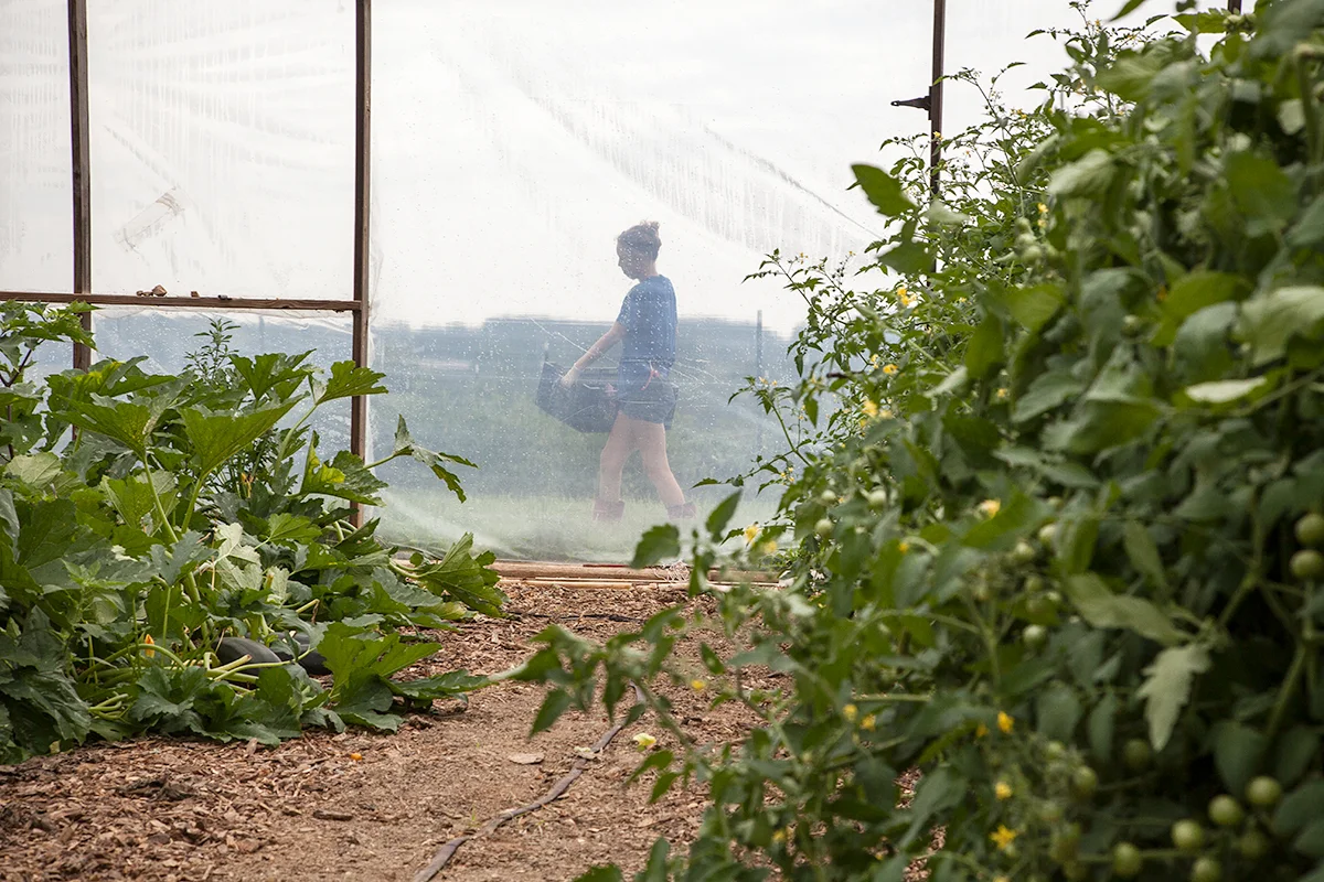 Nora_Crist_carries_farm_produce_250.jpg