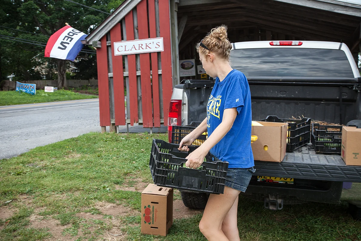 Nora delivers vegetables picked within the hour to the farm stand for CSA pickup
