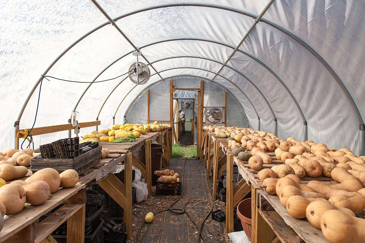 Moon-Valley-Farm-squash_Emma_Jogoz_2087.jpg
