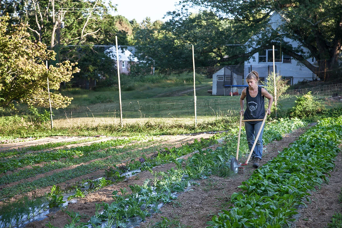 Emma_Jogoz_backyard_field_2254.jpg