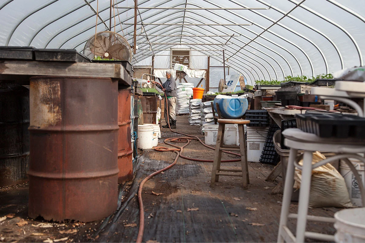Metzger_2017_0324_Potomac_Vegetable_Farms_4116.jpg