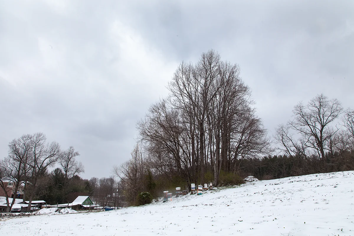 Metzger_2017_0314_Potomac_Vegetable_Farms_Snow_003.jpg