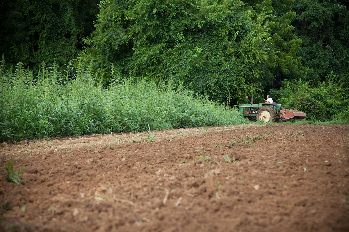 Rich soil that will remain farmland