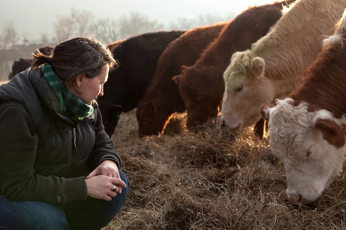 Molly_Peterson_watching_cows_eat_146.jpg