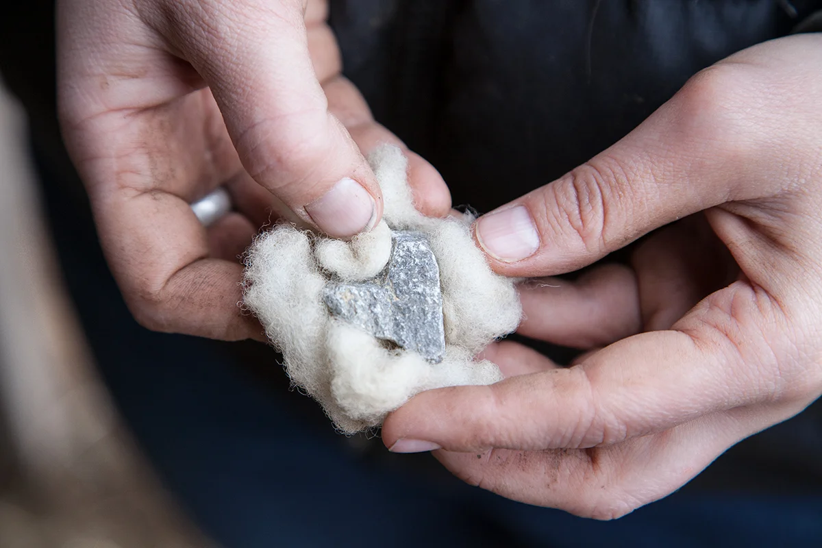 Molly_Peterson_heart_in_sheep_fur_677.jpg
