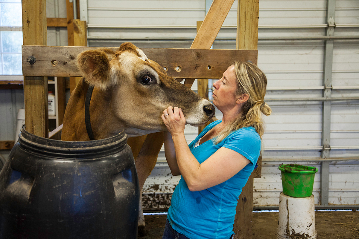 Kelly and her first cow
