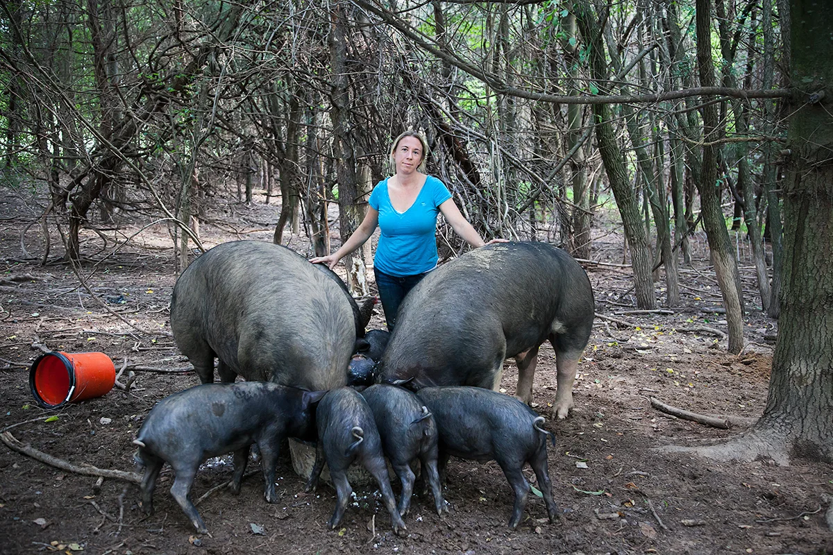 Pig_farmer_Kelly_Hensing_470.jpg