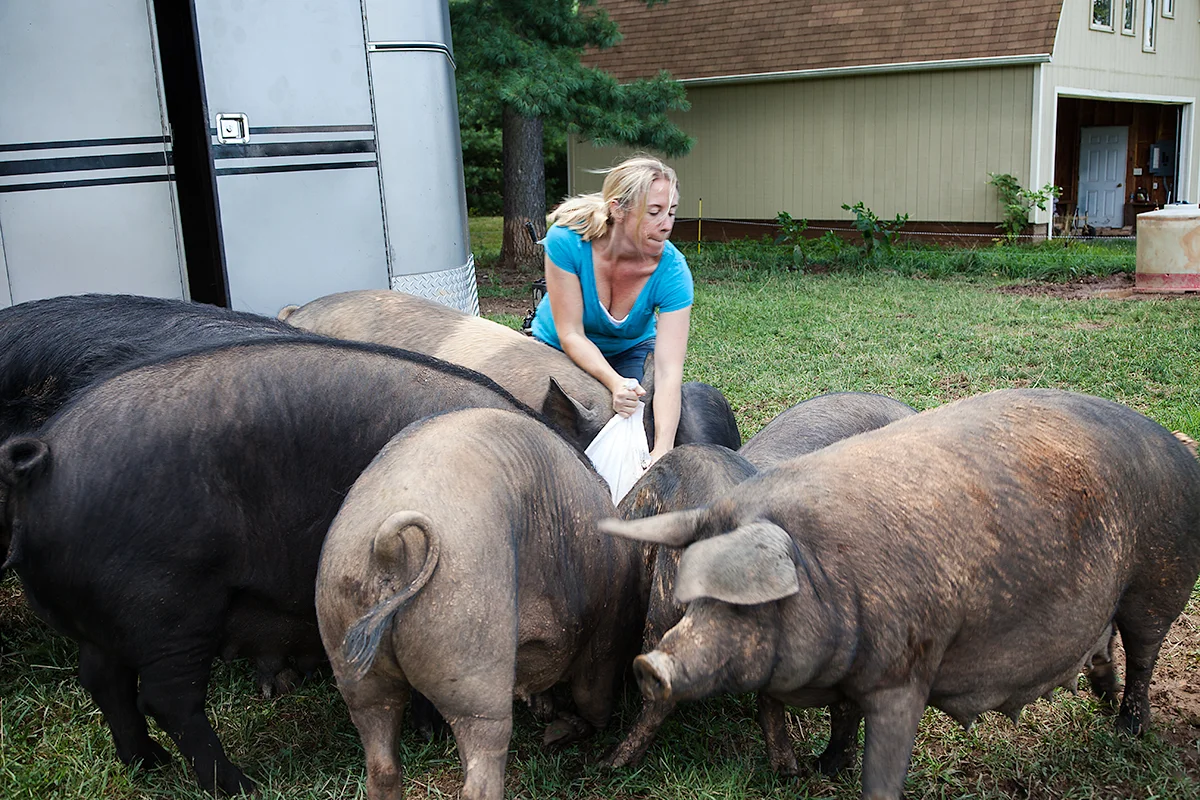 Kelly_Hensing_Feeding_Pigs_248.jpg