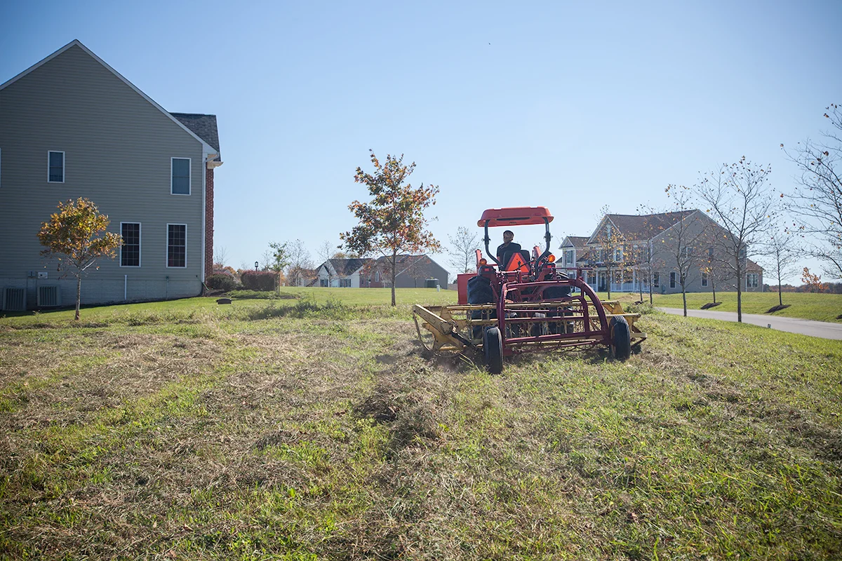 Kelly_Hensing_making_hay_200.jpg