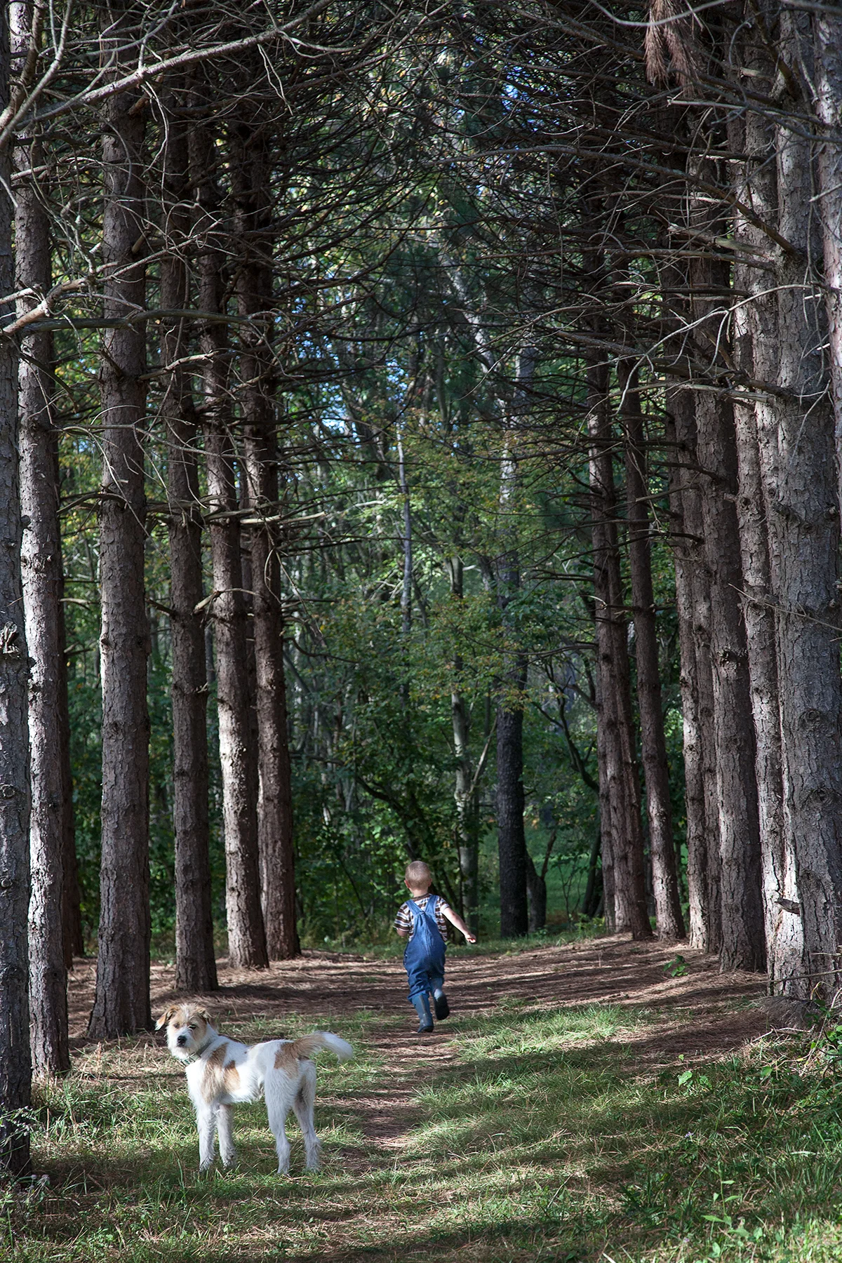 Jennie’s son makes the trip through the woods to Grandma’s house