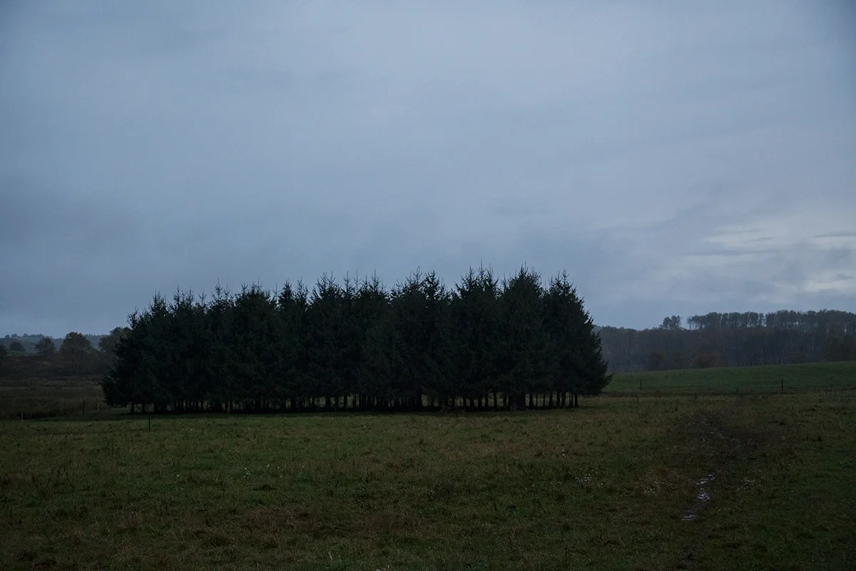 The stillness of dusk settles over the farm