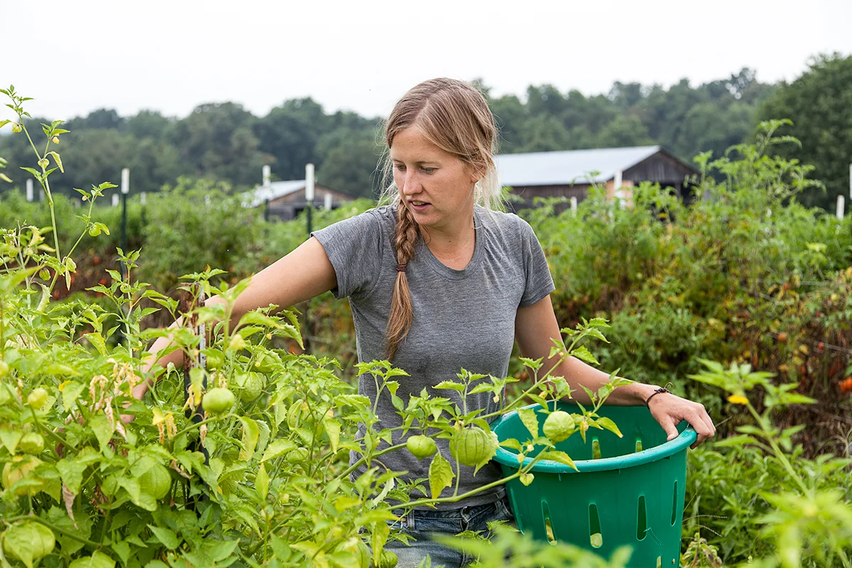 Mo_Moutoux_harvesting_351.jpg