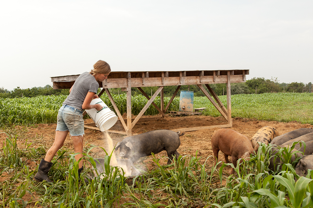 Mo_Moutoux_feeding_pigs_206.jpg
