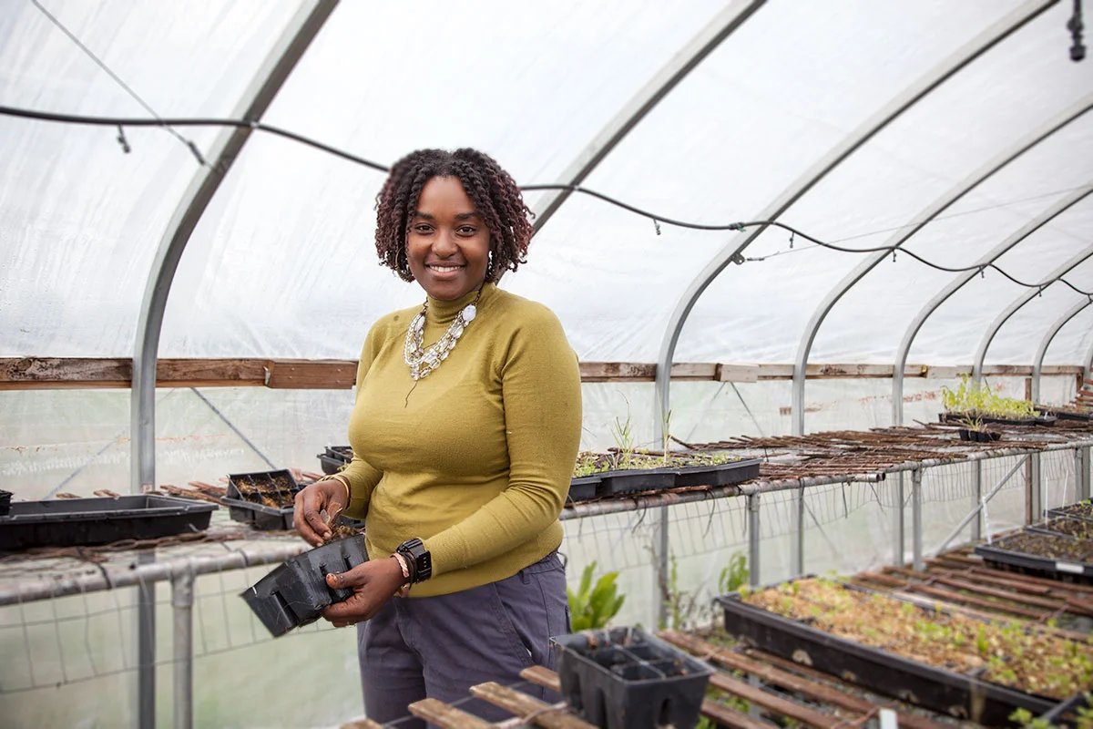 Cleaning out the Farm Alliance greenhouse at the end of the season.
