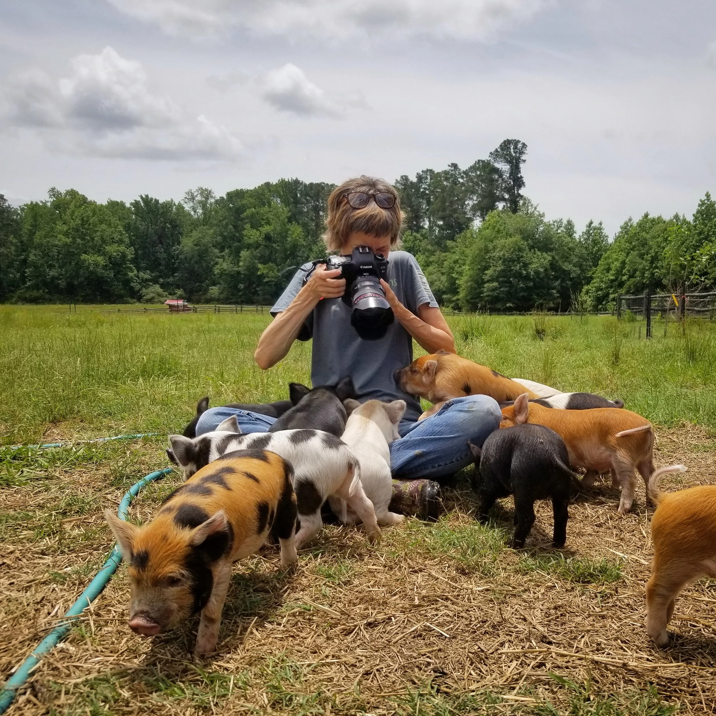 photo by Rachel Herrick of Slow Farm