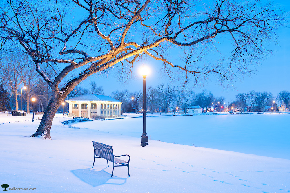 Christmas-Morning-Washington-Park-Denver.jpg