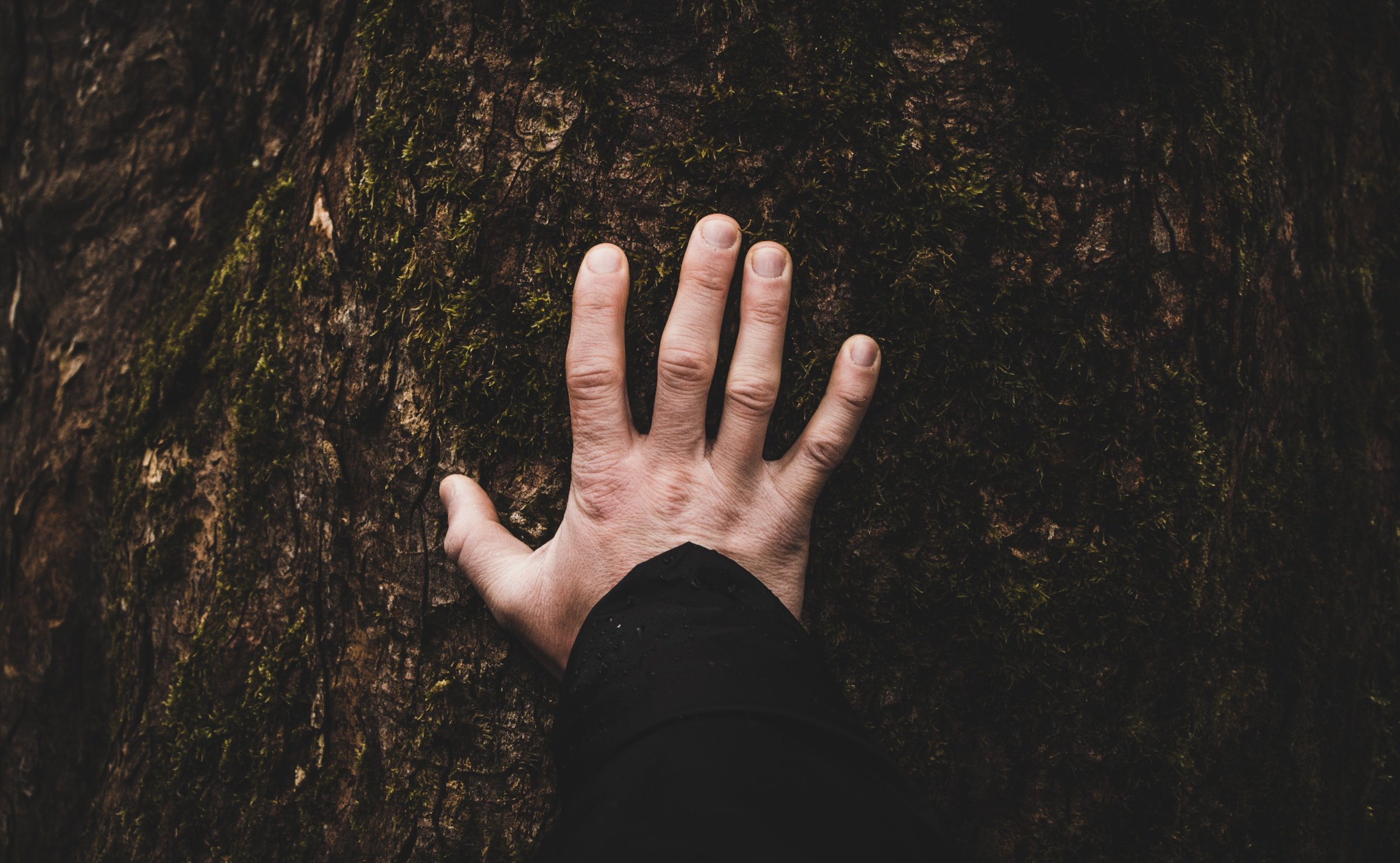 fabrizio-verrecchia-228158-unsplash.jpg