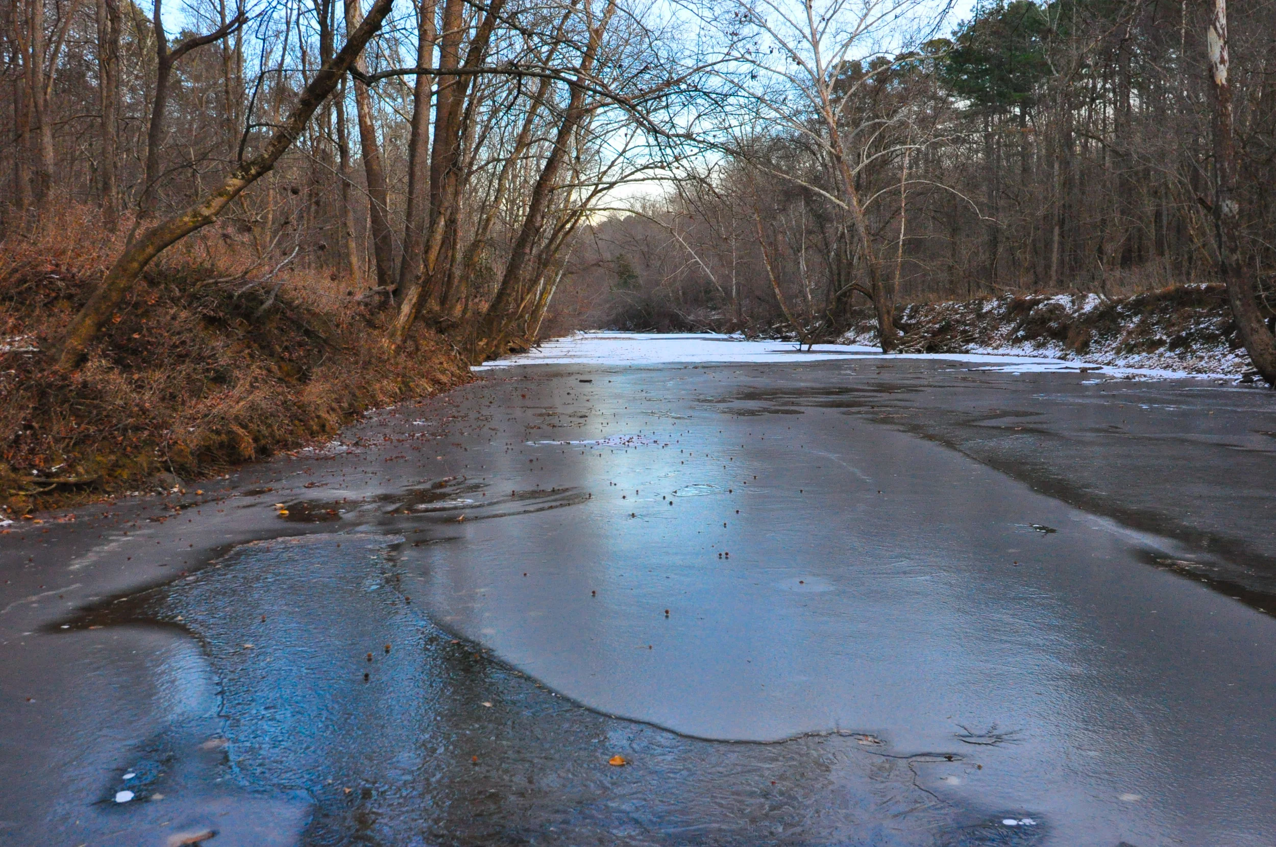 DSC_0675edit.jpg