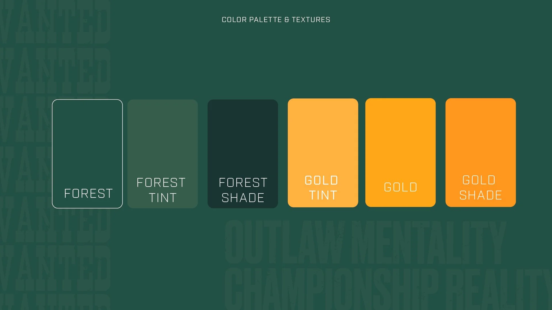 Outlaws Logo Package_Artboard 2.jpg