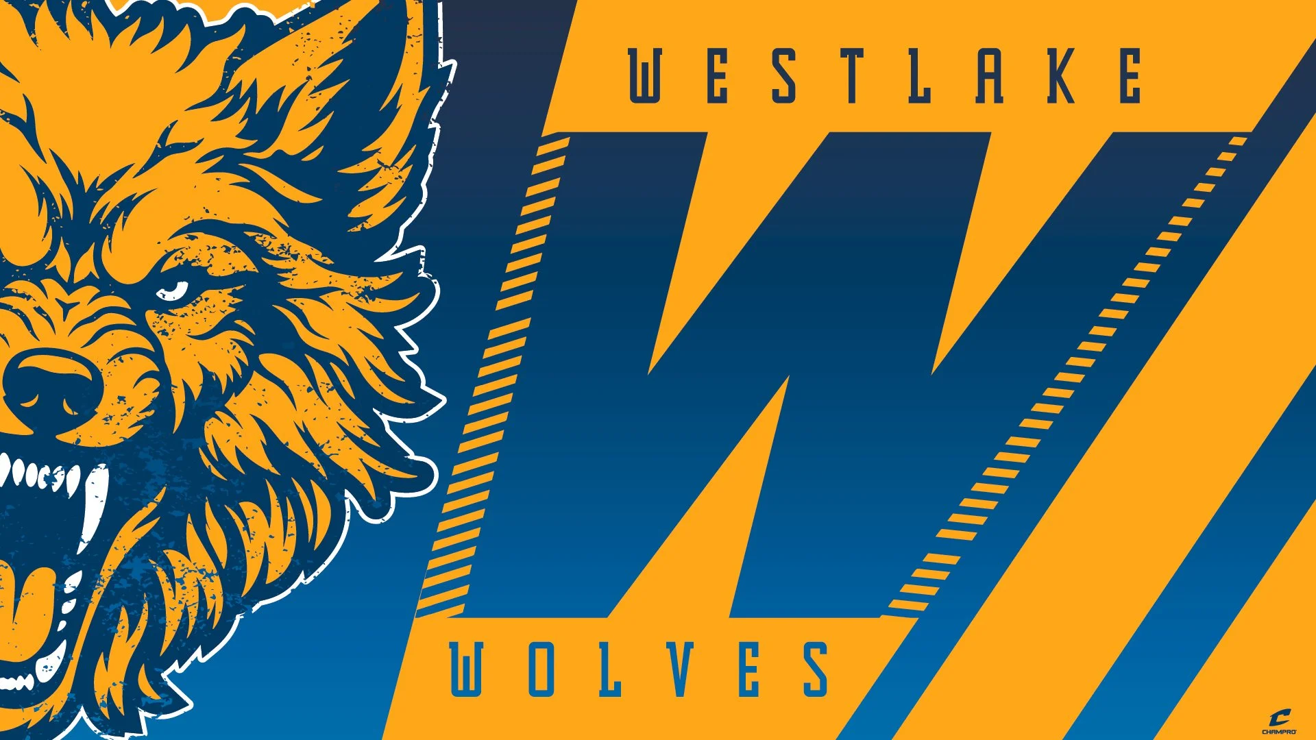 Wolves_Brand Package_Artboard 5.jpg