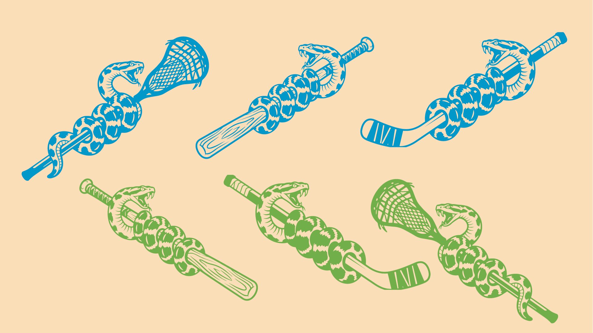 Vipers Logo Package_Artboard 5.jpg