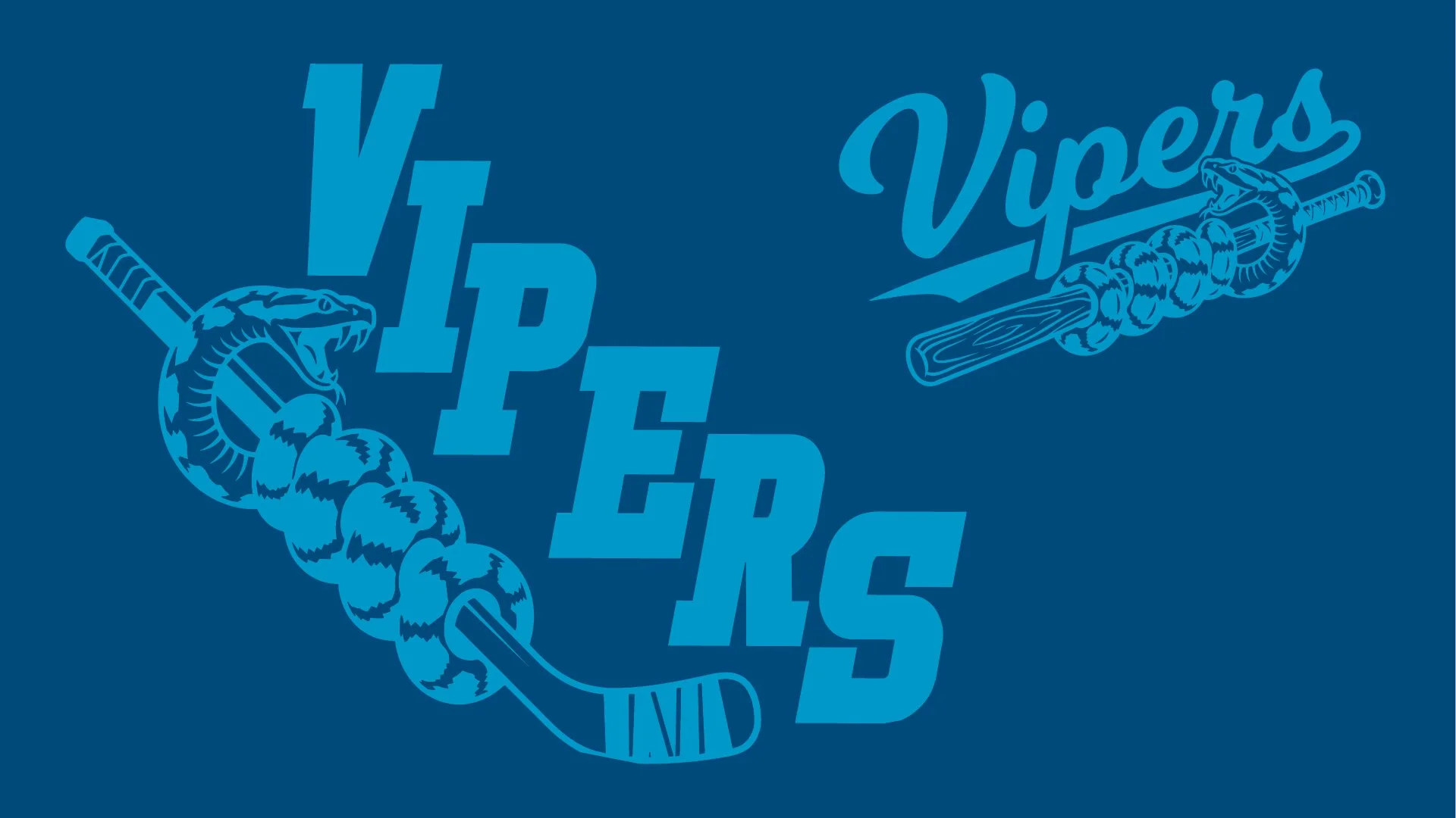 Vipers Logo Package_Artboard 4.jpg