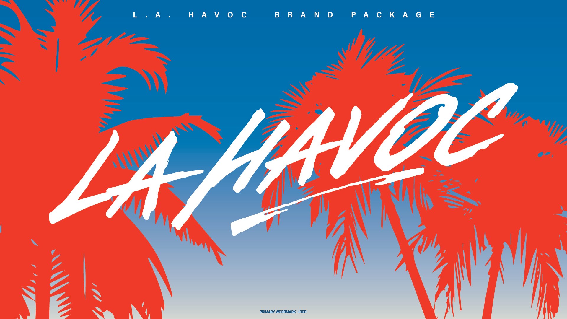 LA Havoc_Brand Package-01.jpg