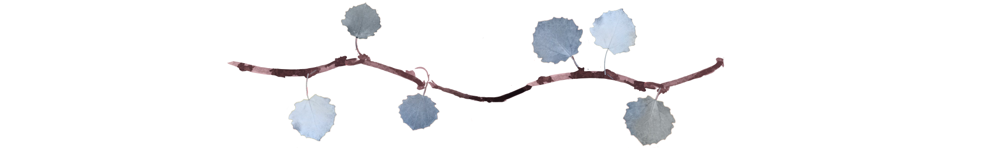 Leslie Divider Line 5 final.png