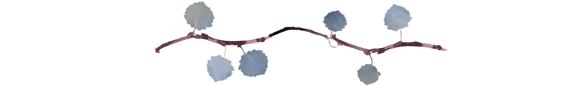 Leslie Divider Line 5a rotated.png
